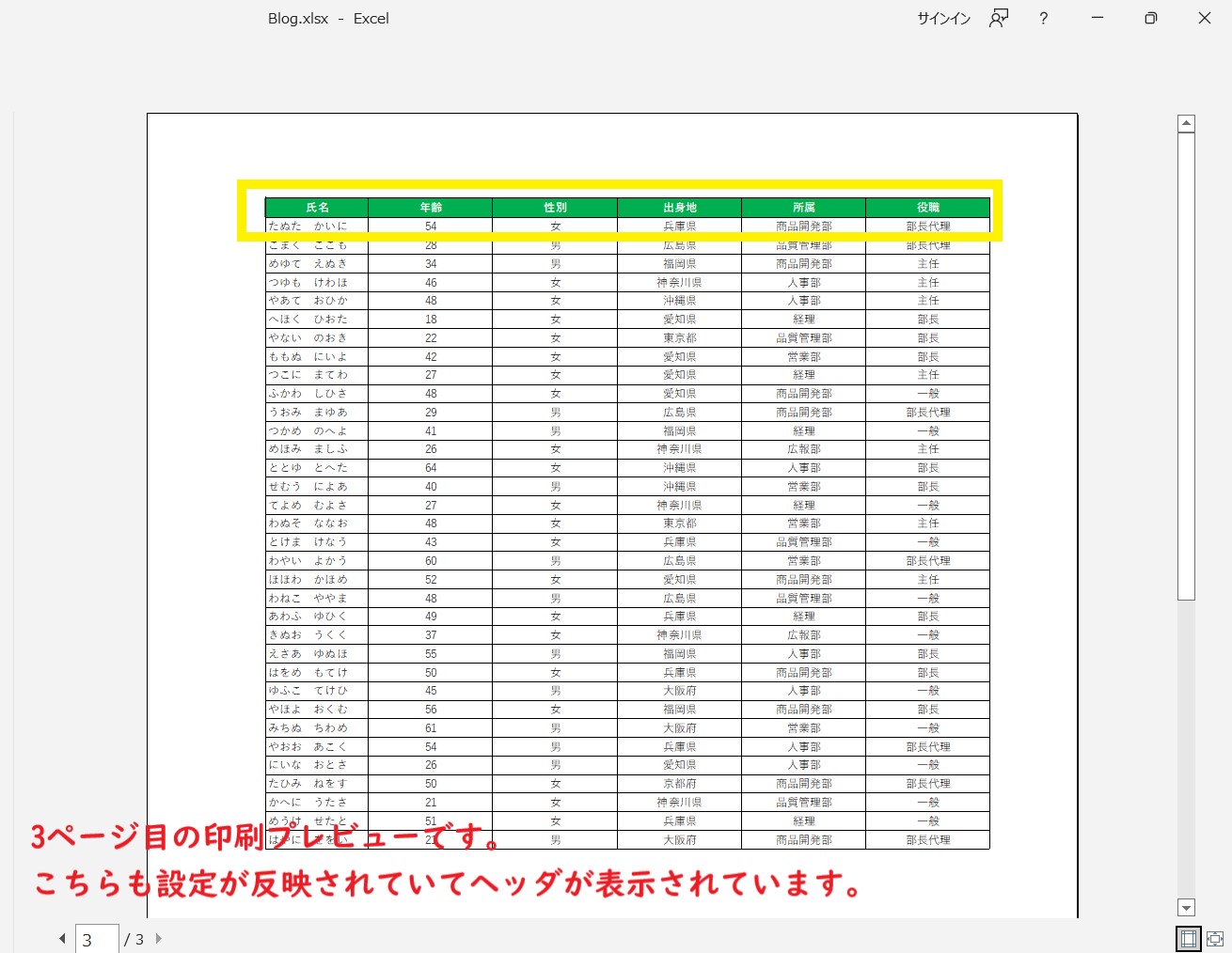 エクセルの印刷タイトル機能を設定した後の印刷プレビュー表示画像2